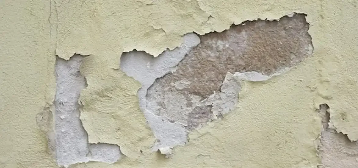 How To Prevent Your Home From Water Damage?