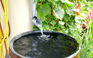 Improve Water Conservation in San Diego | EZ Plumbing USA